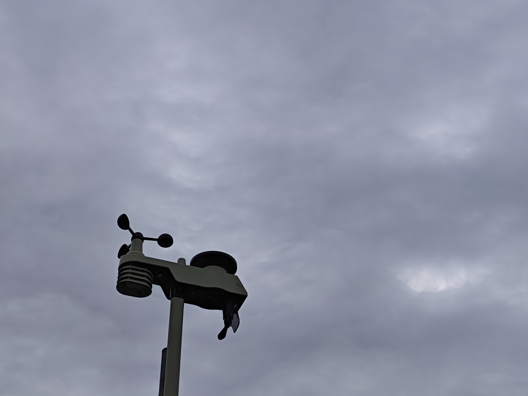 朝になりました！の画像