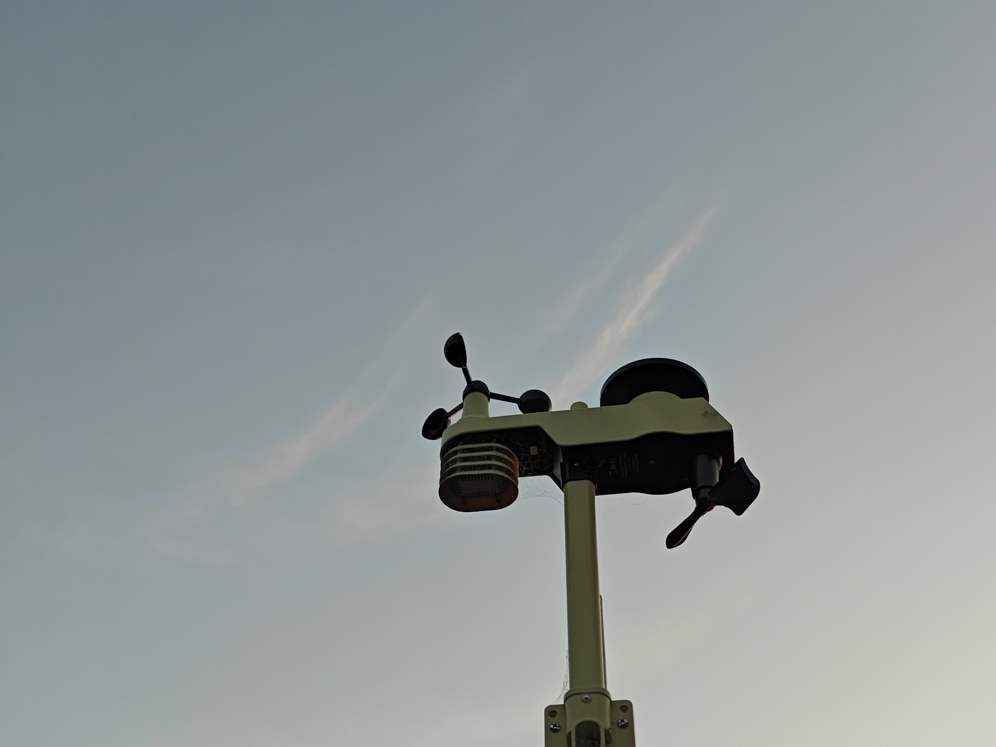 朝になりました！の画像