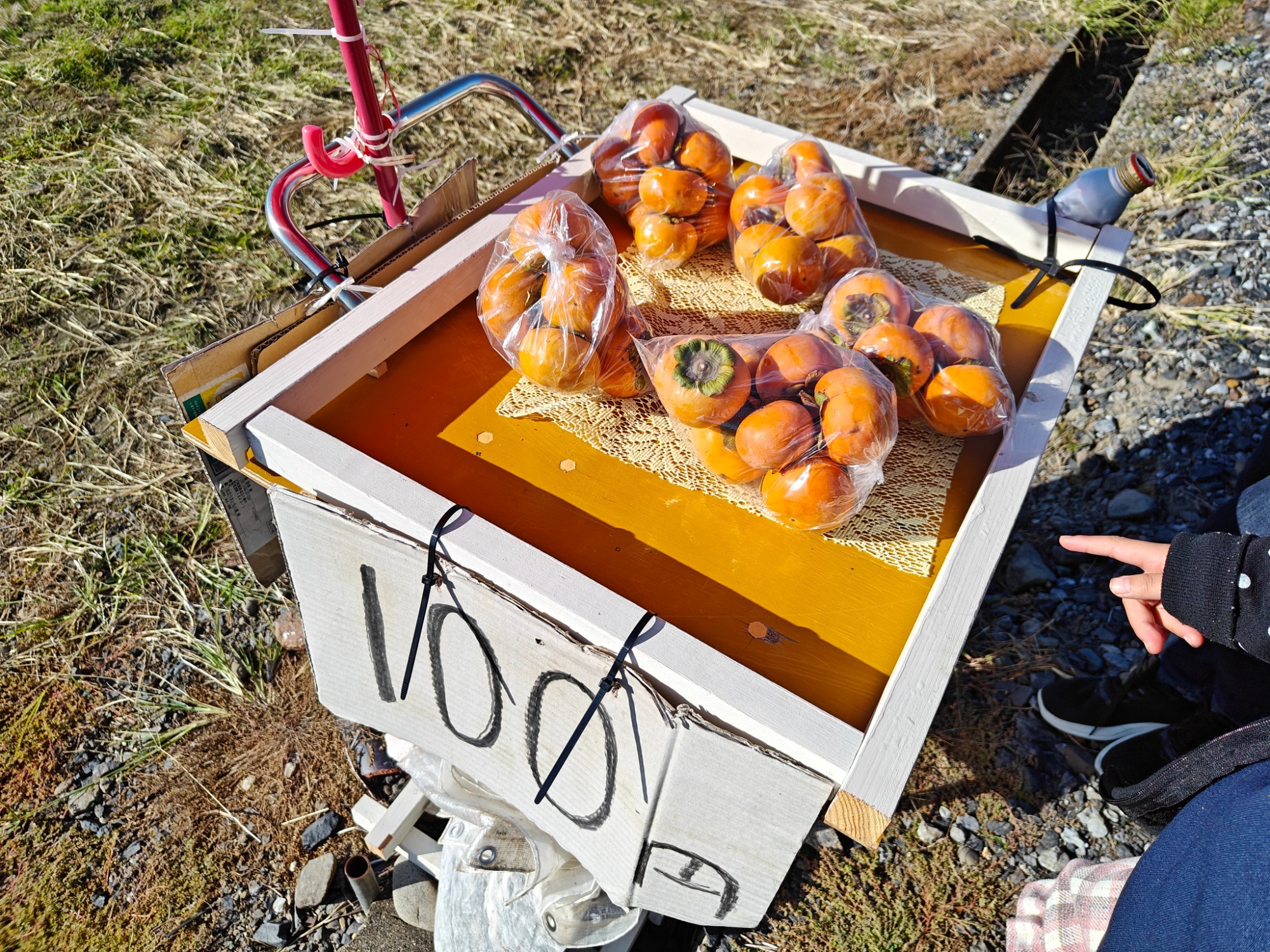 本巣市のあれ！の画像