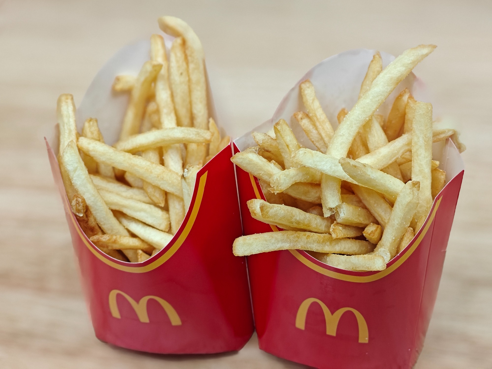 11月16日まで、の画像