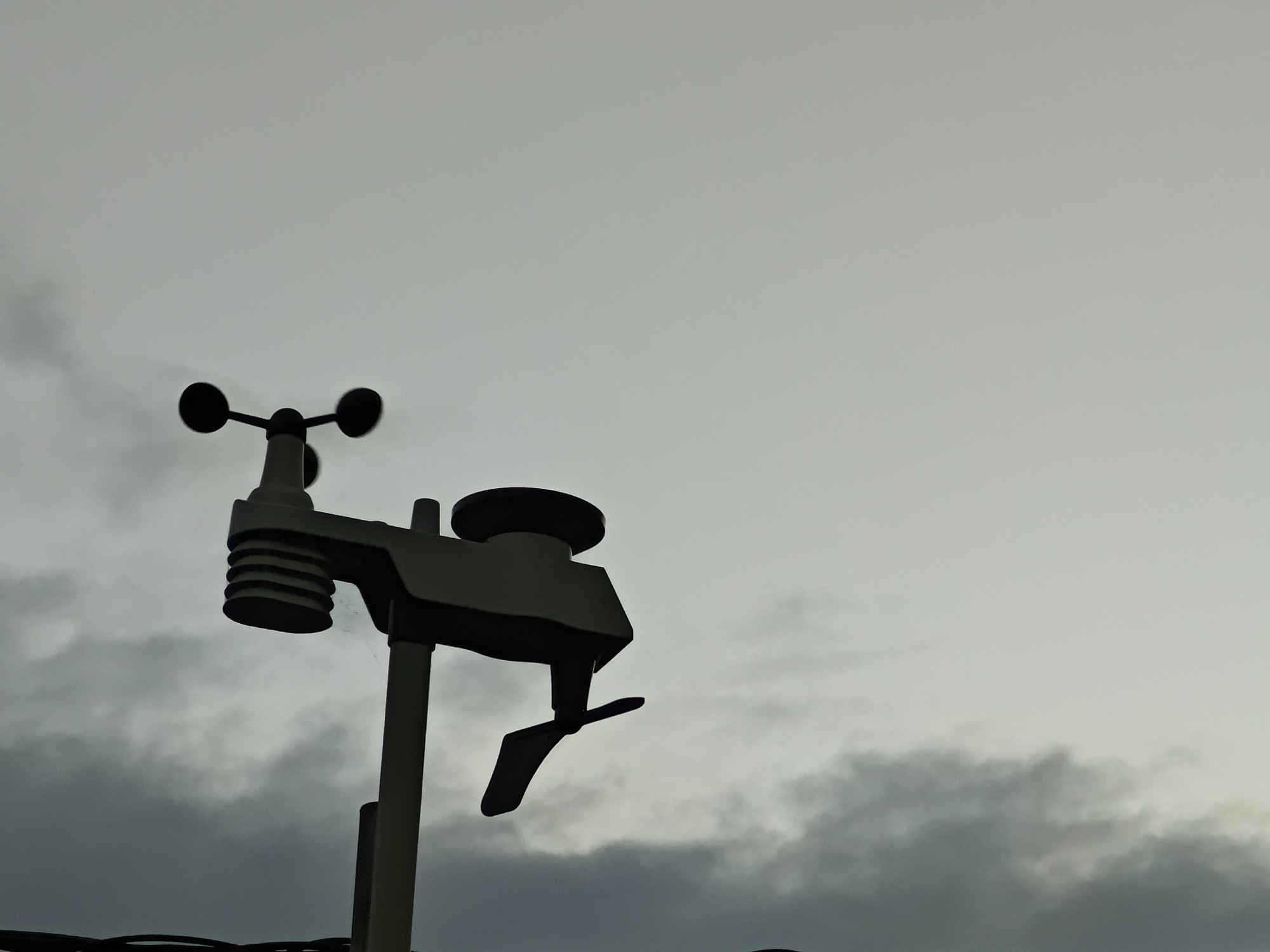 朝になりました！の画像