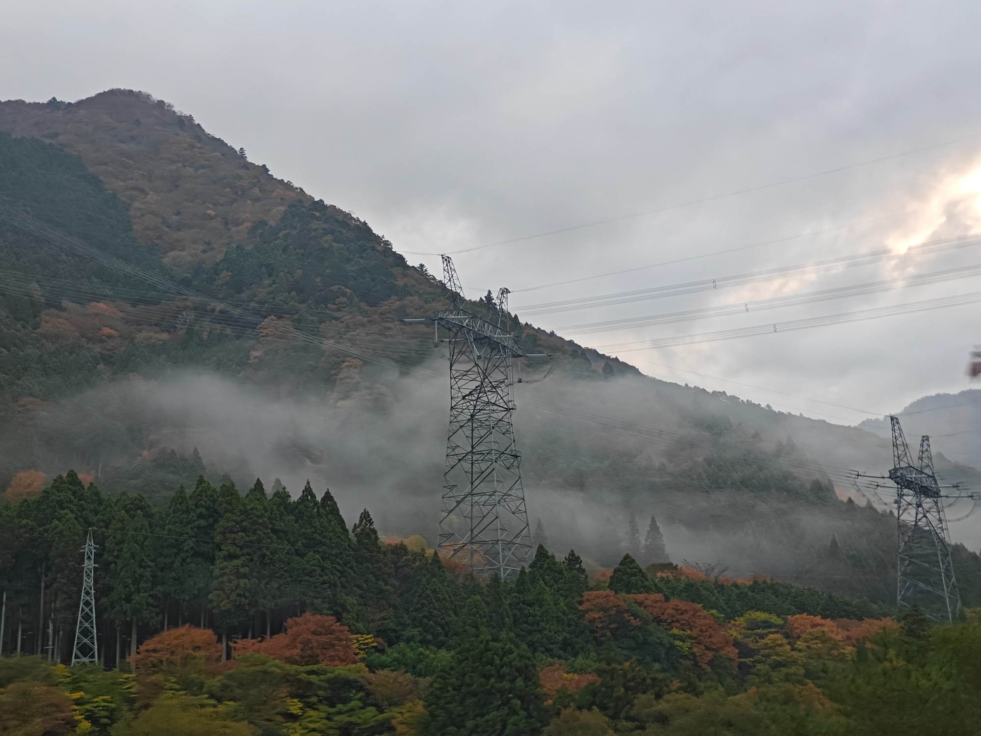 すっかりこの季節の画像