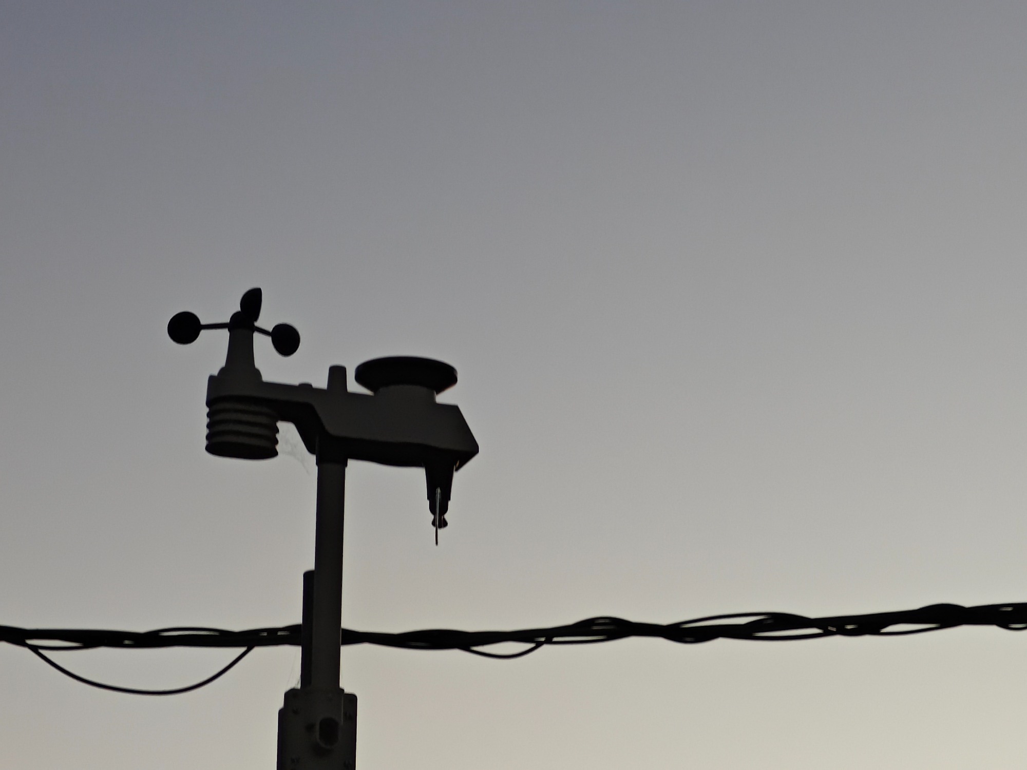 朝になりました！の画像