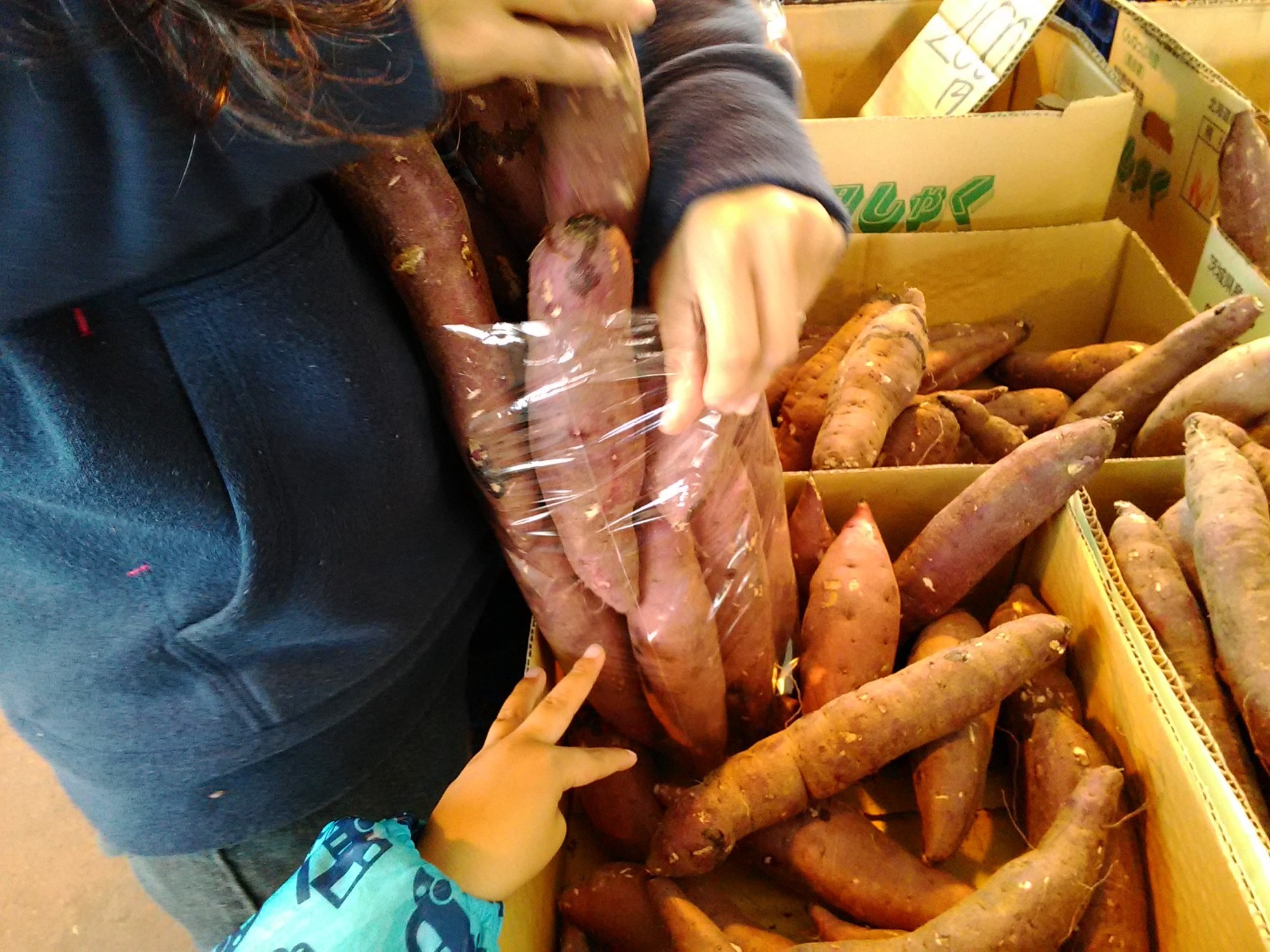 ちょうど10年前の写真。の画像