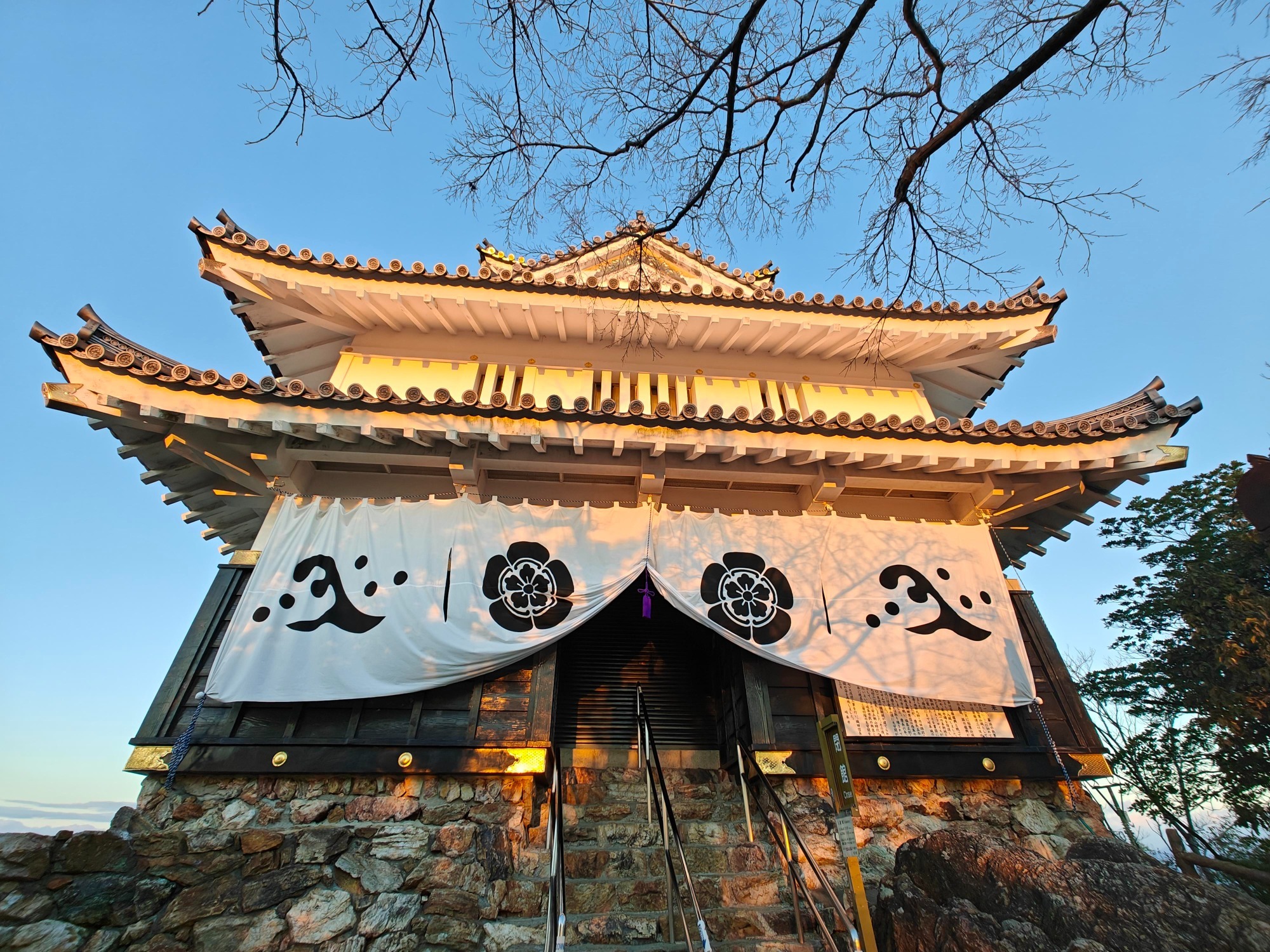 朝になりました！の画像