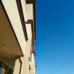 日曜日の夕方は…の画像