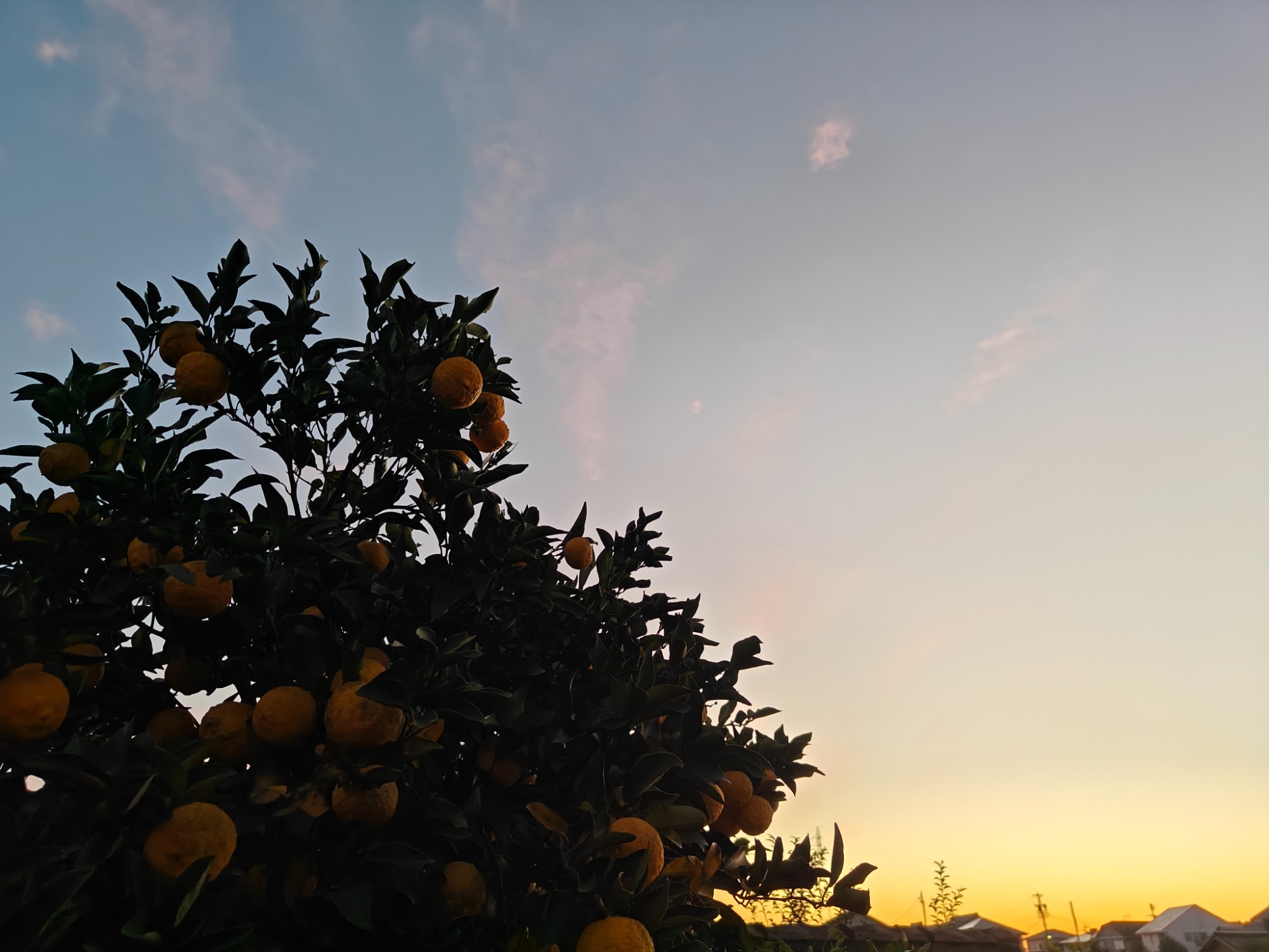 朝になりました！の画像