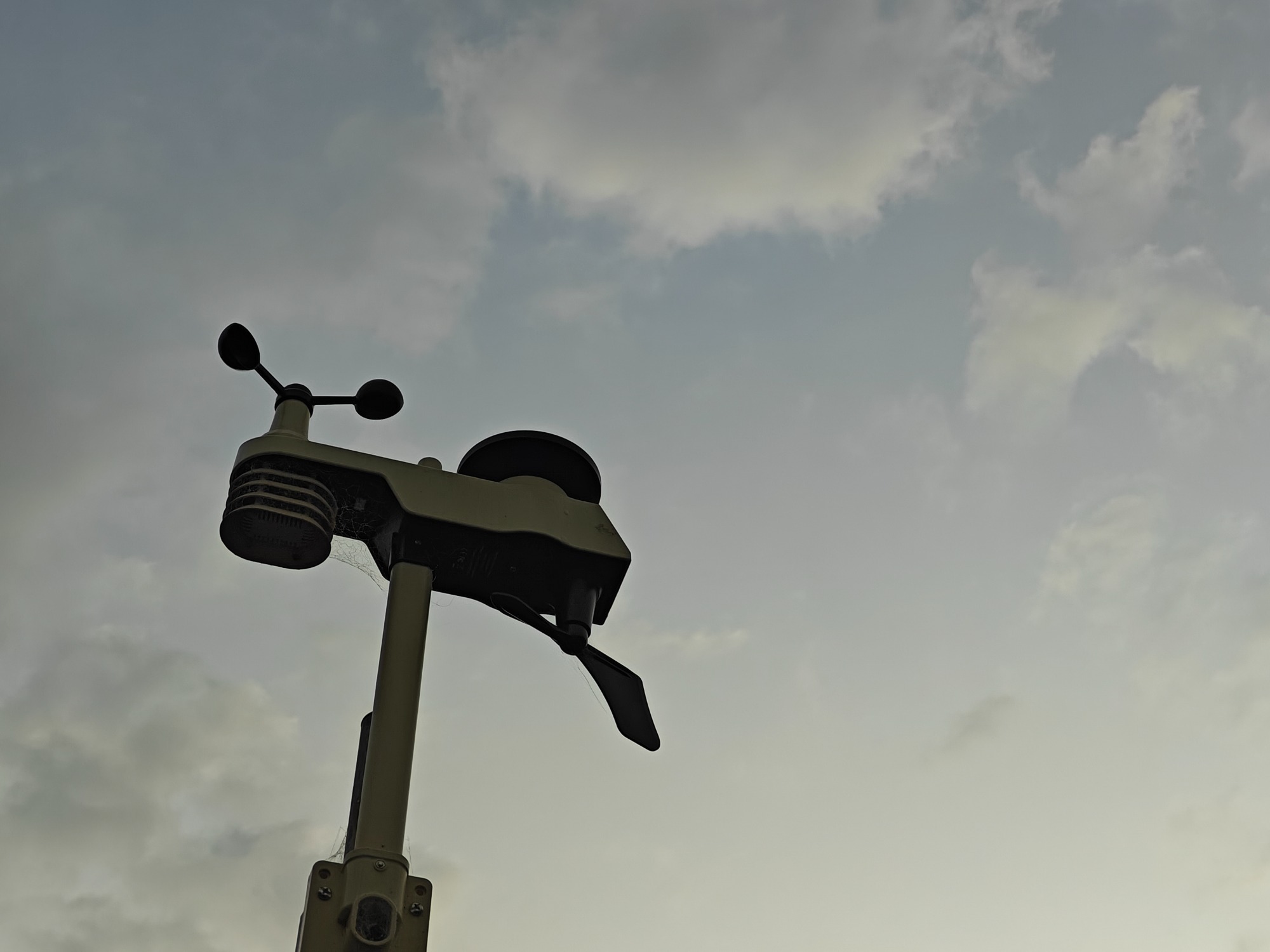 朝になりました！の画像