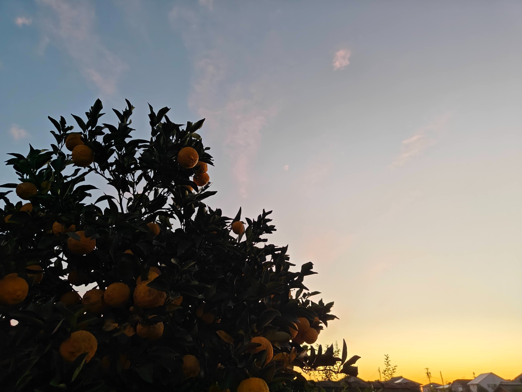 朝になりました！の画像