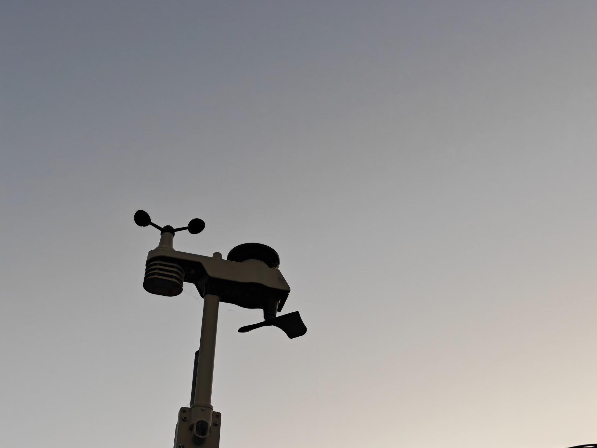 朝になりました！の画像