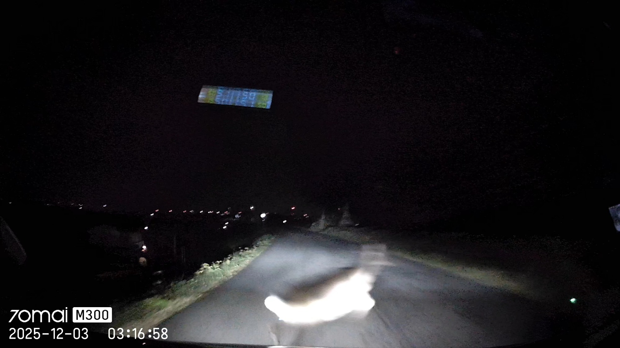 なお！そんなわたしも！の画像