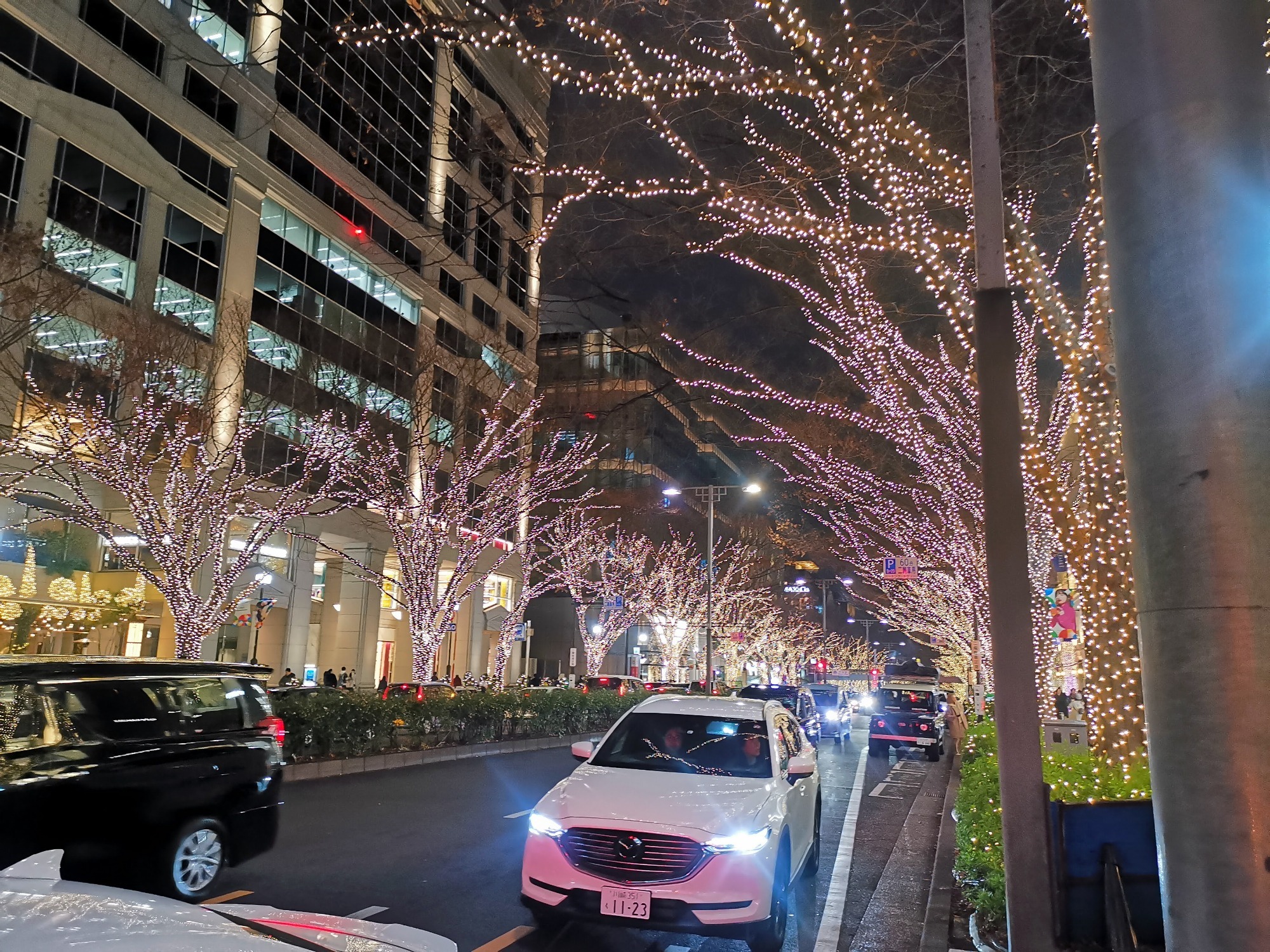 海外の人がレンタカーで事故した話の画像