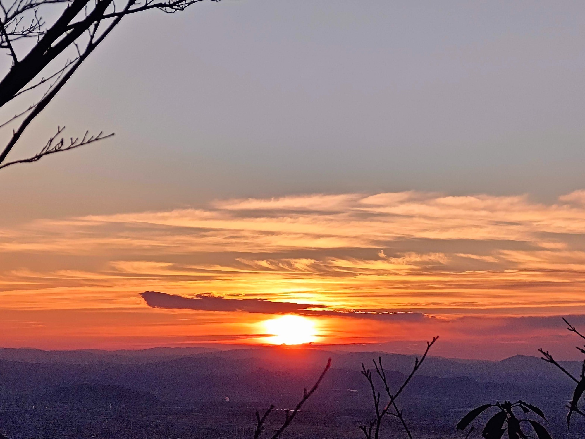 朝になりました！の画像